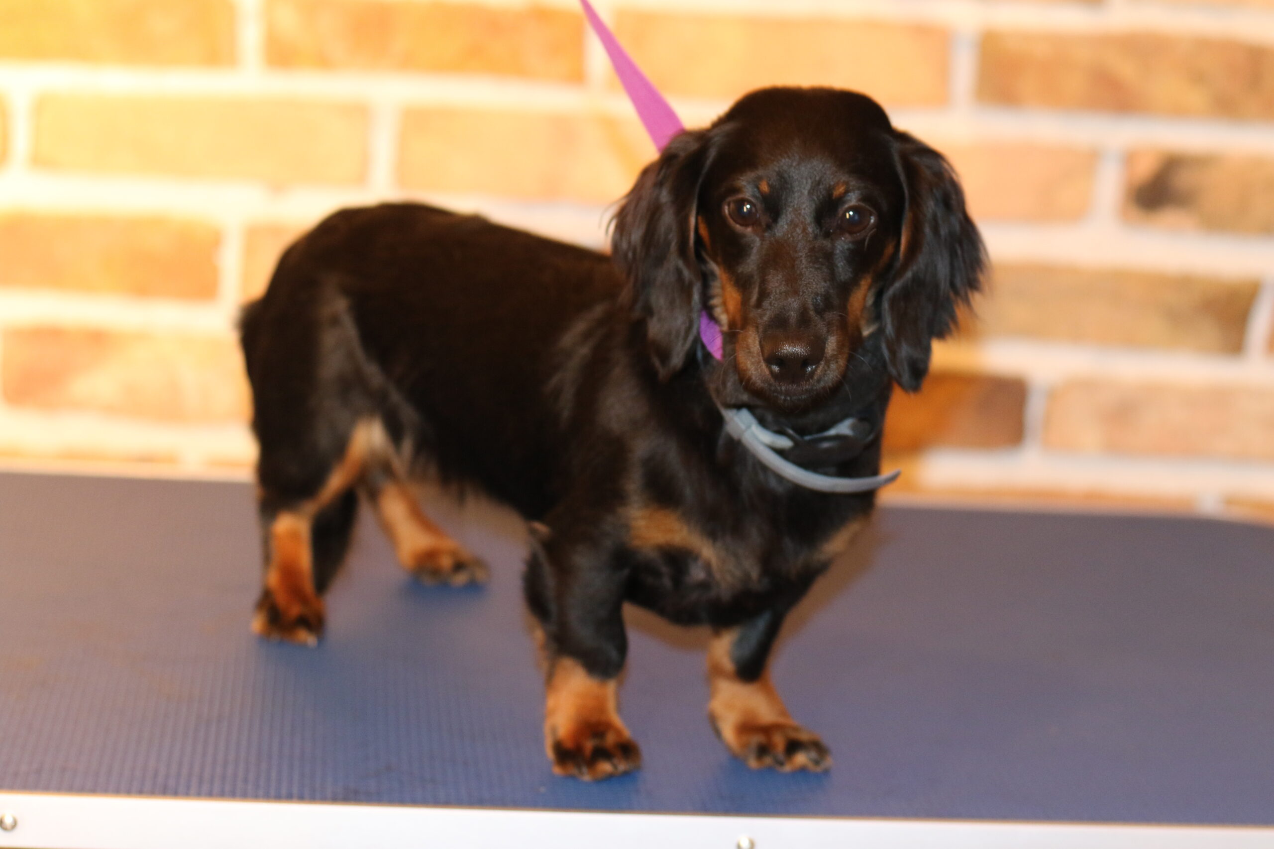 Kłaczek SPA – galeria