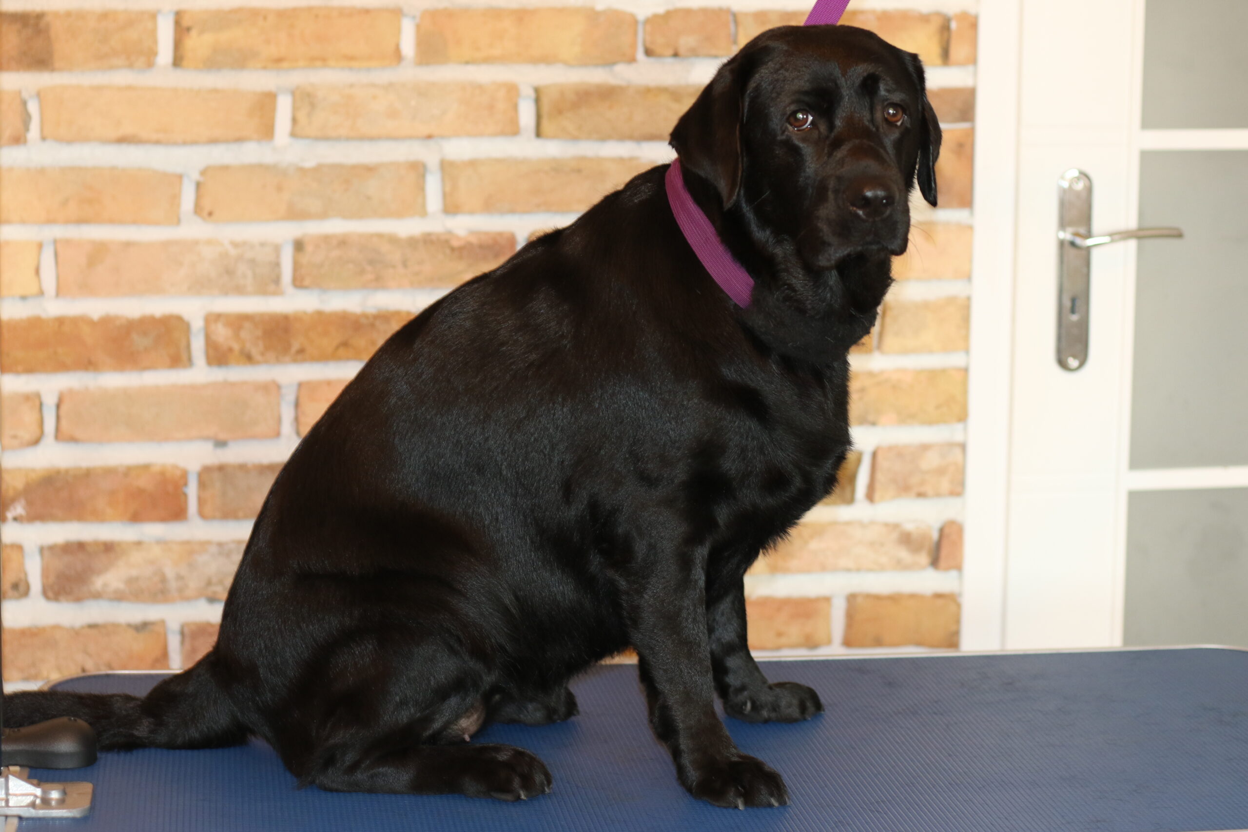 Kłaczek SPA – galeria