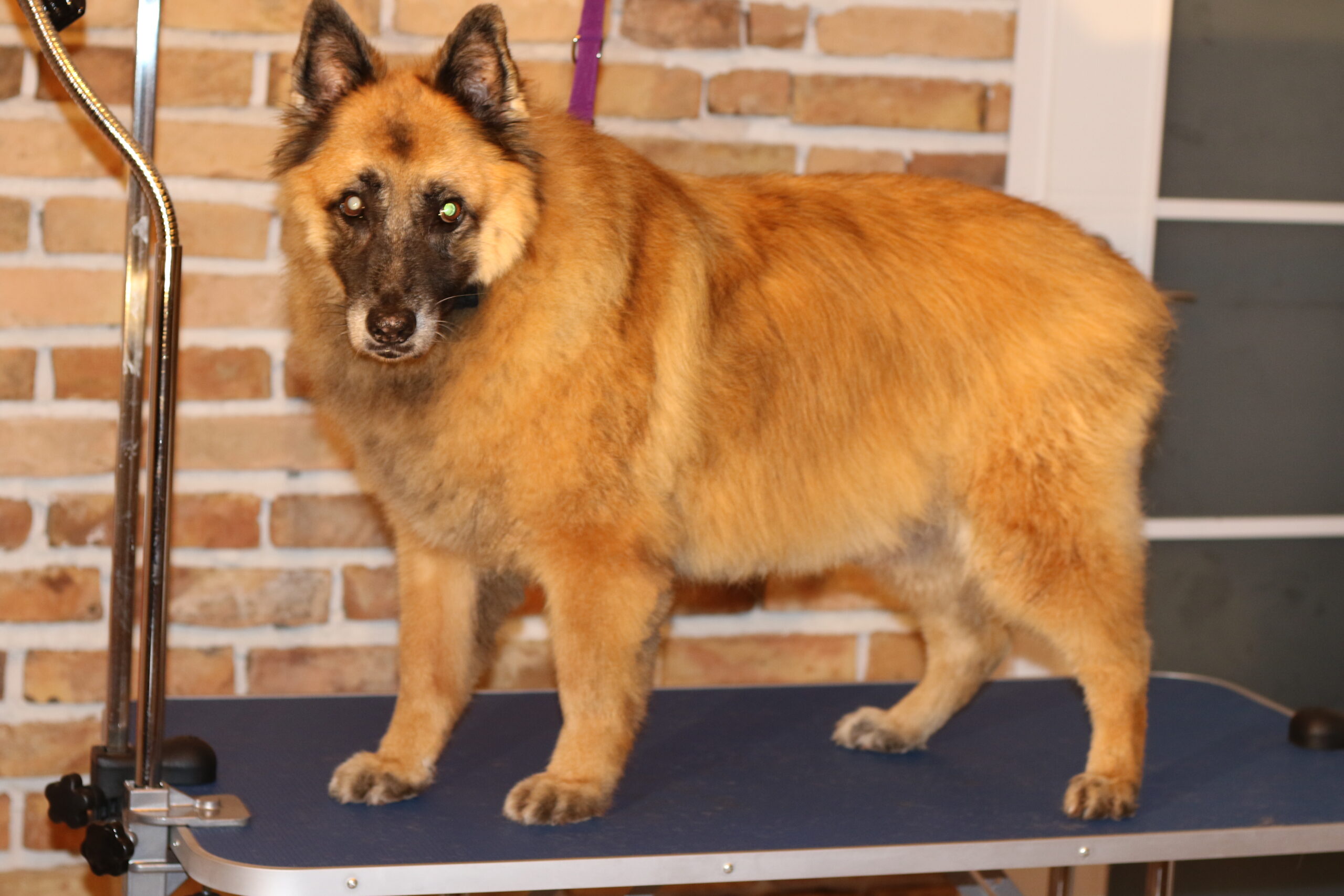 Kłaczek SPA – galeria