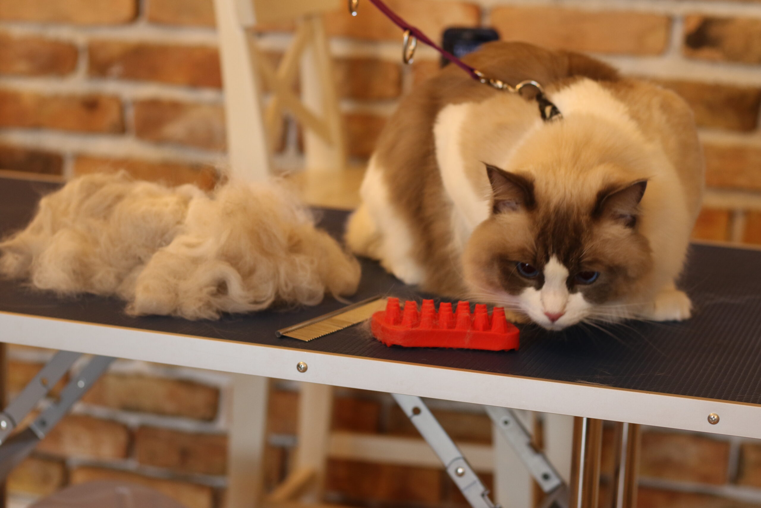 Kłaczek SPA – galeria