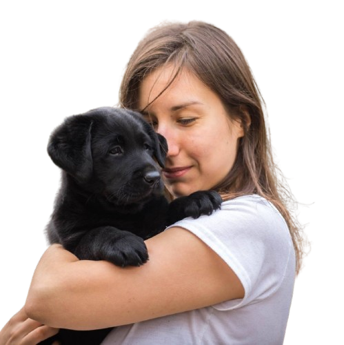 Home 67566479 10211264652452465 140950587452686336 n removebg preview