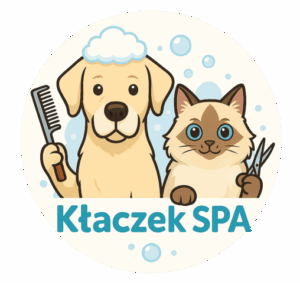 Home chatgpt image 8 wrz 2025, 16 02 50